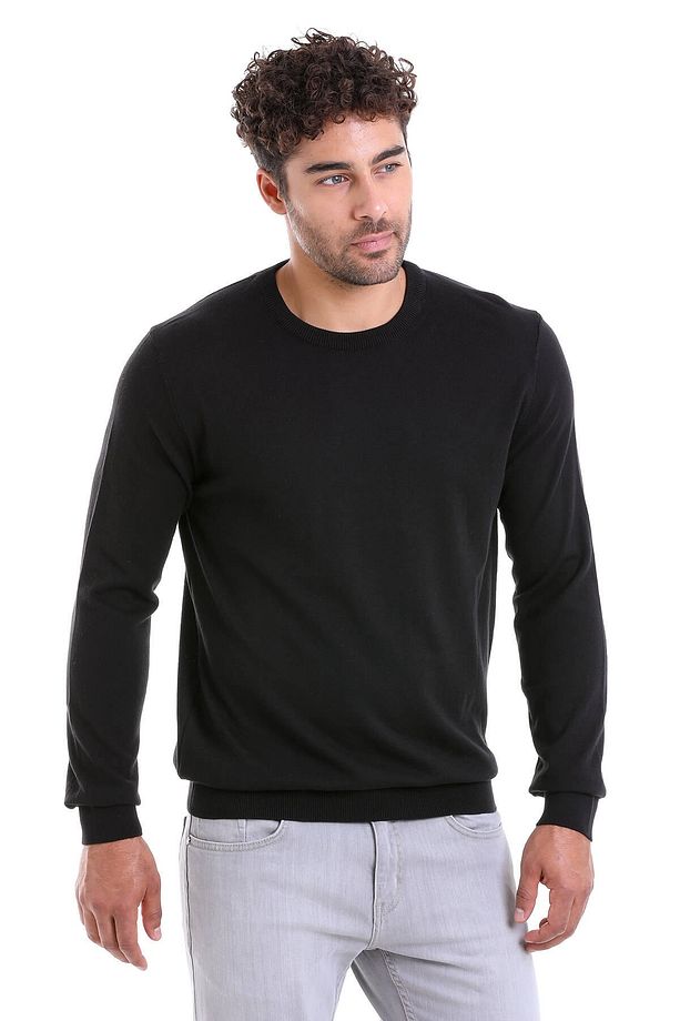 Erkek Siyah Regular Fit %100 Pamuk Bisiklet Yaka Triko Kazak - 3