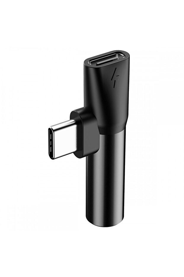 L41 Carcase tip C - 3