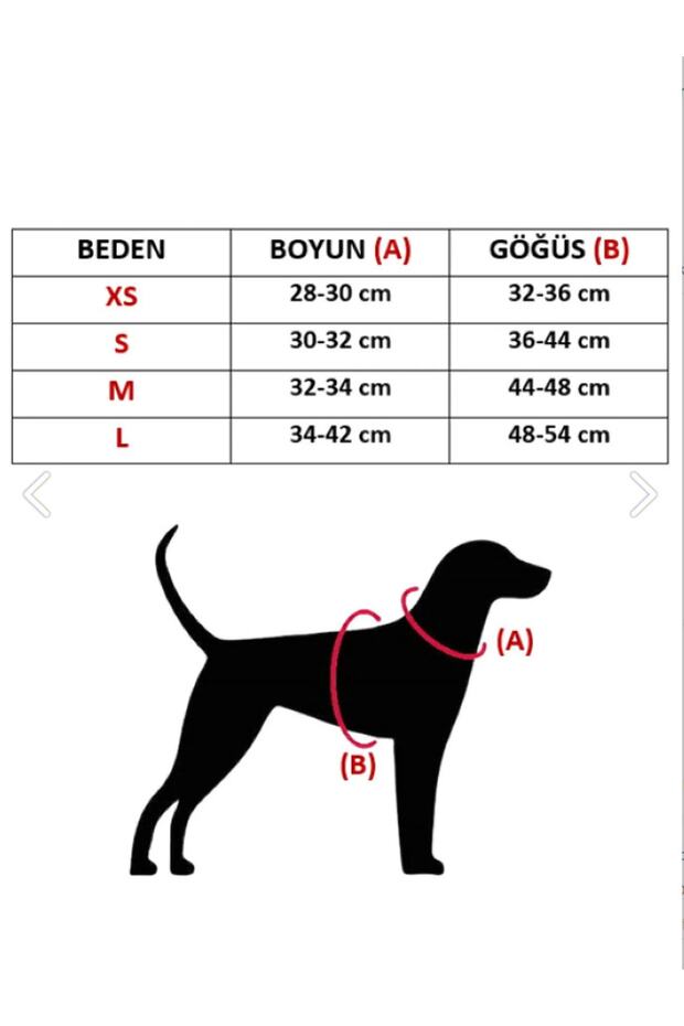 Köpek Tasması Harnes Mosaic (h Tipi) - 2