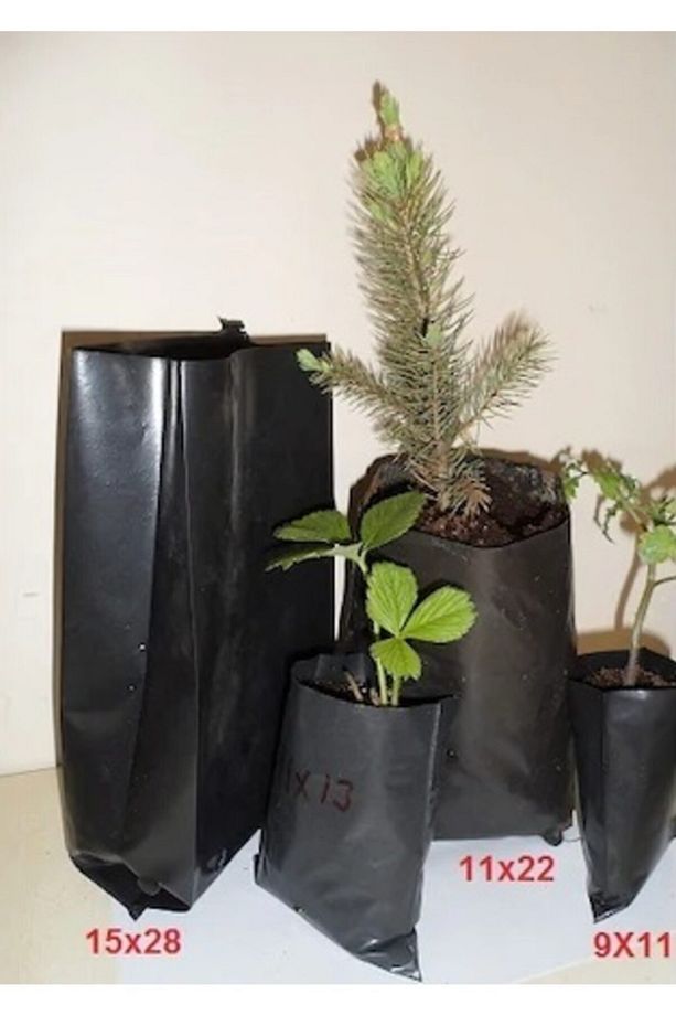 Fide Poşeti 50 Adet 11x13 Cm Fide Torbası Fidan Poşeti Fidan Torbası Fide Fidan Yetiştirme Poşet - 2