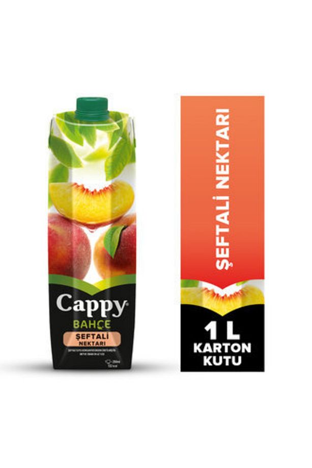 Bahçe Şeftalili Meyve Suyu Karton Kutu 1 L ( 9 Adet ) - 1