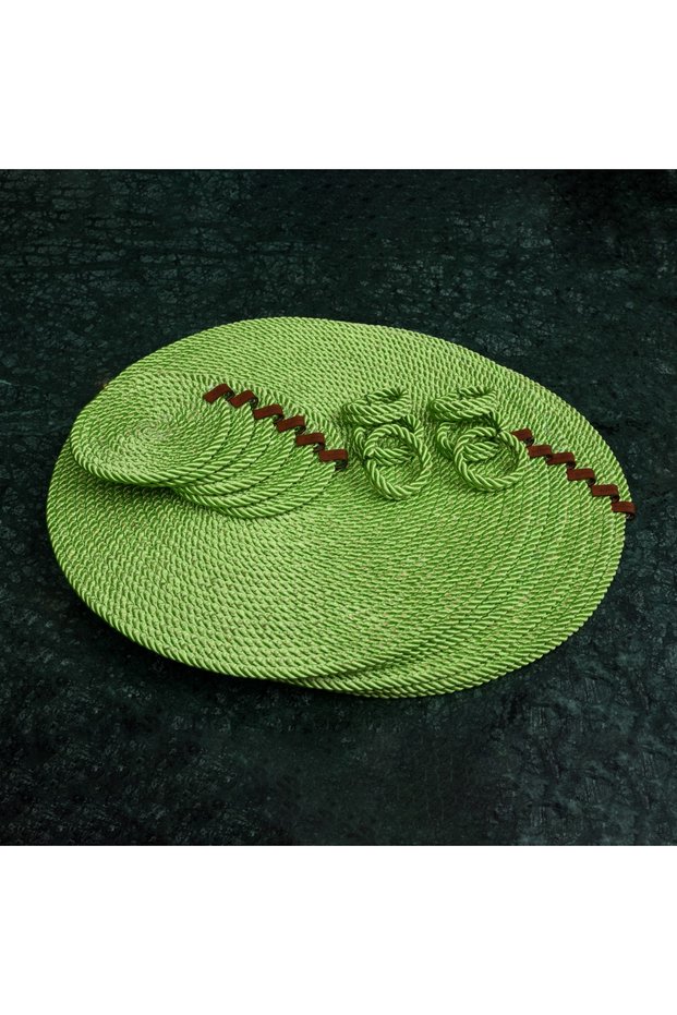 American Serving Plate Set Pistachio Green 6 Plates and 6 Coasters and 6 Napkin Holders