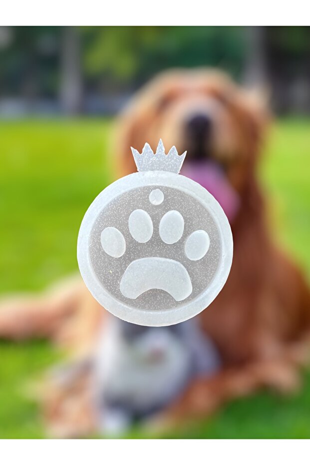 Epoxy Silicone Mold Resin Imprint Pendant Leash Keychain Dog Cat Silicone Mold