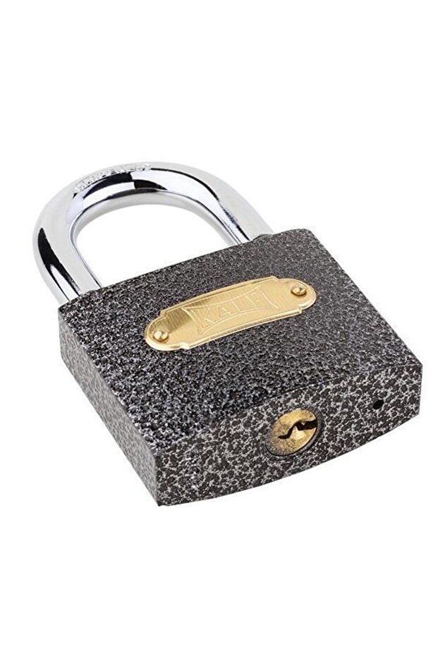 Castle Padlock Casting 50mm