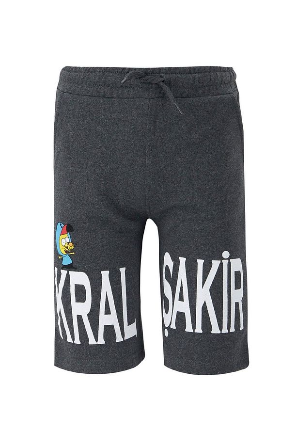 Erkek Çocuk Kral Şakir Bermuda Şort - 3