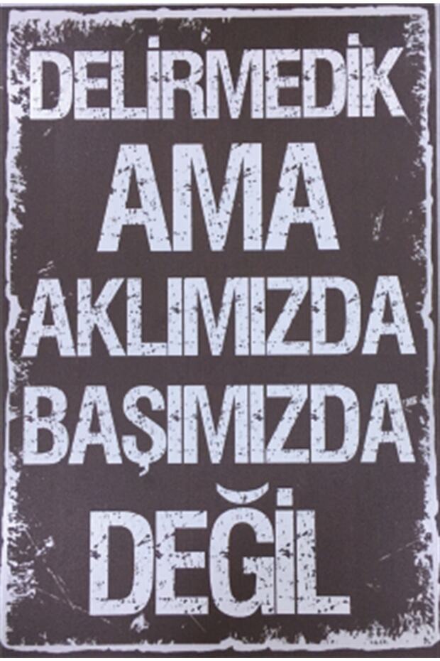 Not Drunk but Funny Sayings Wall Lettering Retro Wooden Poster
