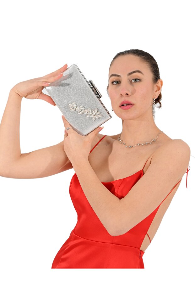 Silver Lame Color Spreading Satin Crystal Stone Evening Bag Evening Bag Engagement Wedding Bag