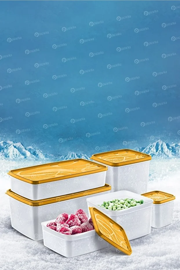Alaska Deep Freezer Storage Container Set 6 Pieces Set Storage Container Orange - 1