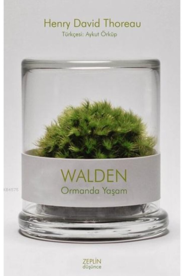 Walden - Ormanda Yaşam