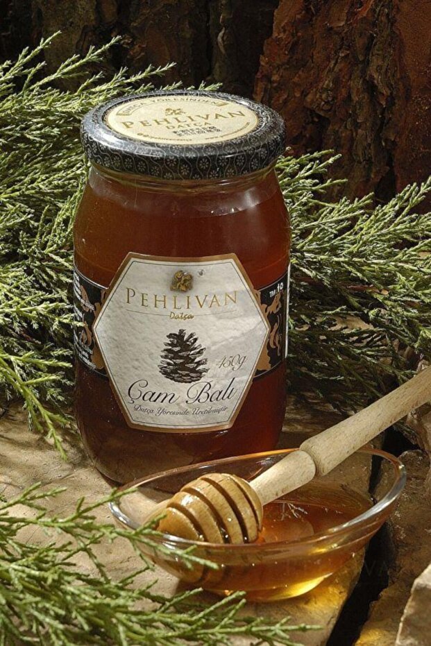 Çam Balı 450 Gr - 1