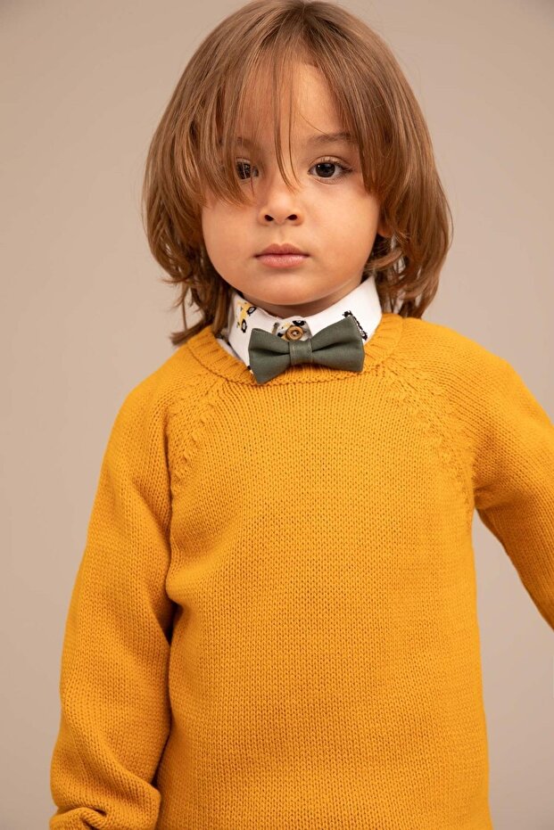 Baby Boy Regular Fit Crew Neck Acrylic Knitwear Sweater