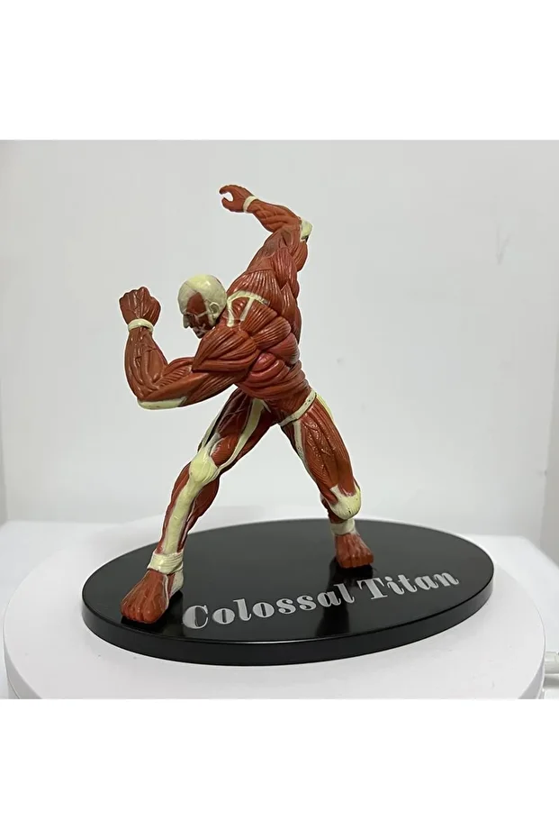 Attack On Titans Bertholdt Hoover / Levi / Annie / The Warhammer / Eren Yeager Figür Seti 10 Cm 6'lı - 5