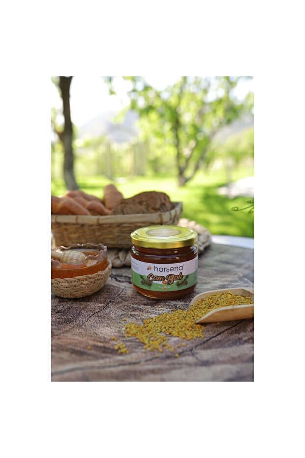 Çam Balı 400g
