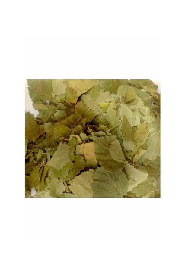 Huş Ağacı Yaprağı 50 Gr - 1