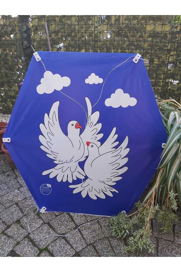 Altıgen Uçurtma Güvercin Model Mavi Renk - 3