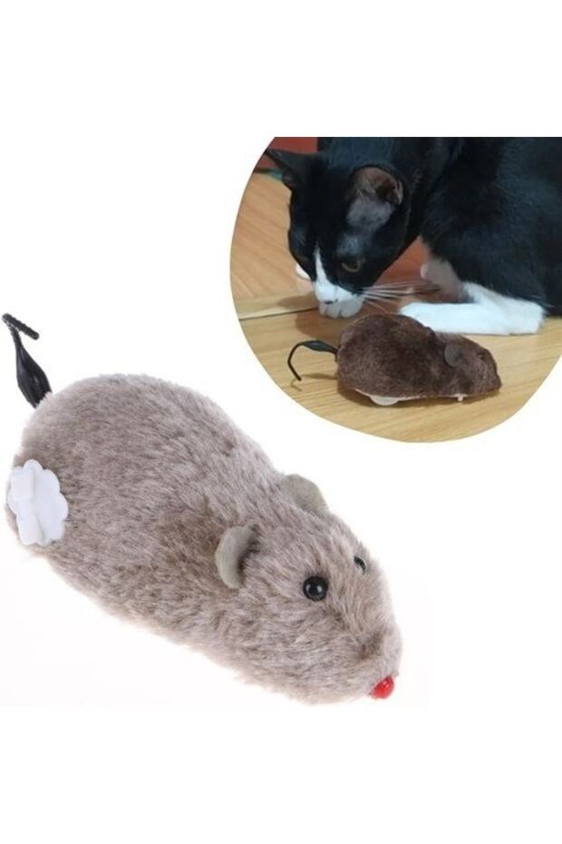 لعبة تدريب تفاعلية للقطط - صيد فأر من القطيفة فروي، لطيف