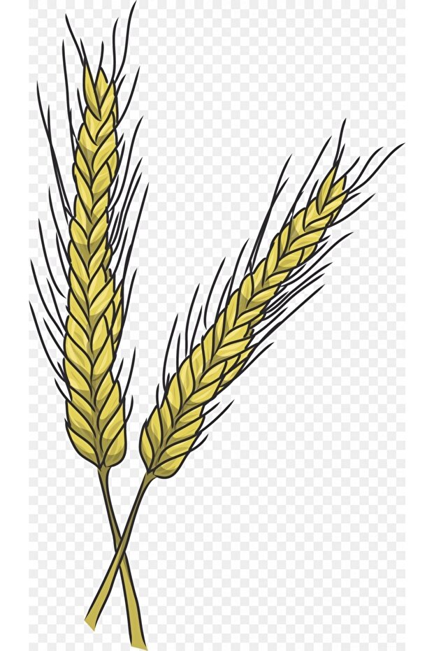 Kavılca Unu 1000 G - 3