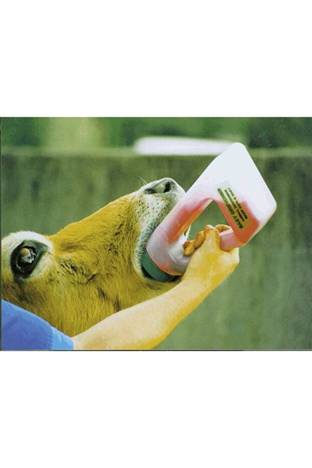 Ilaç Içirme Biberonu - 1