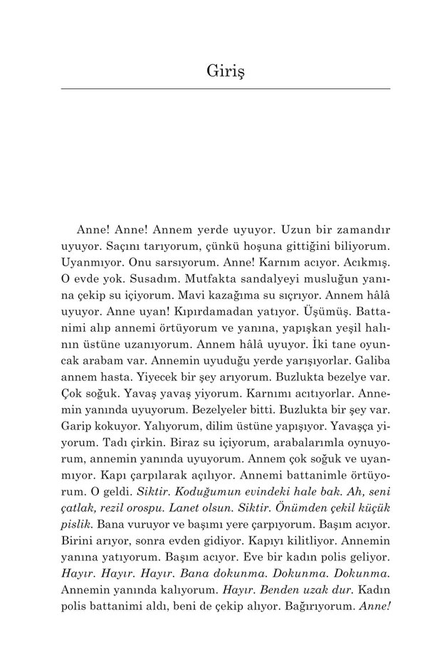 Özgürlüğün Elli Tonu + Okuma Sticker'ları - 4