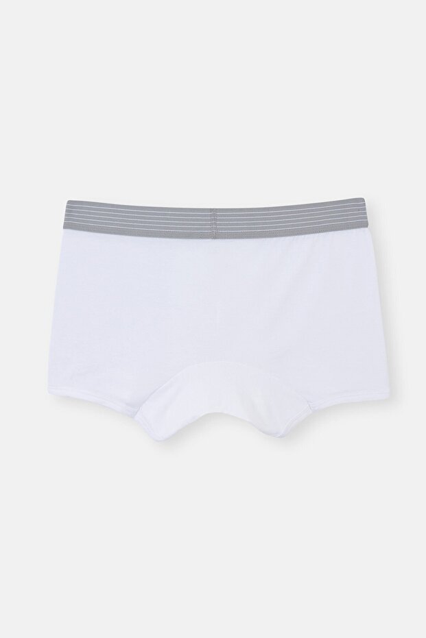 Beyaz White Boxer - 2