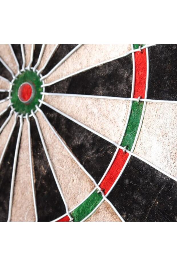 Dart Hedef Tahtası Profesyonel Sisal 45cm 6 Adet Ok - Dart Hedef Tahtası - 4