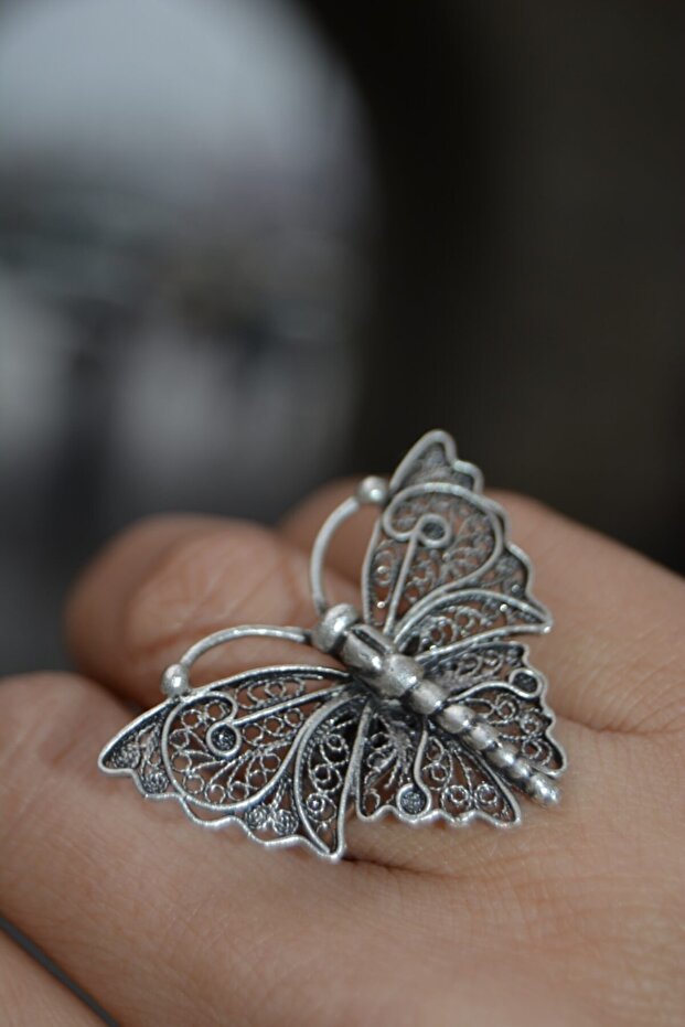 خاتم الفراشة - 3