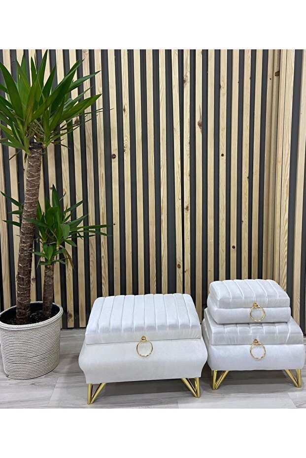 Çınar Üçlü Çeyiz Sandığı - 2