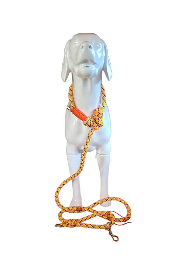 Köpek Gezdirme Kayışı Ve Tasma Birarada.boğma Kayış Ve Tasma.dog Slip Leash. - 5