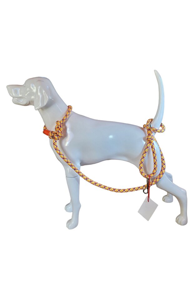 Köpek Gezdirme Kayışı Ve Tasma Birarada.boğma Kayış Ve Tasma.dog Slip Leash. - 6