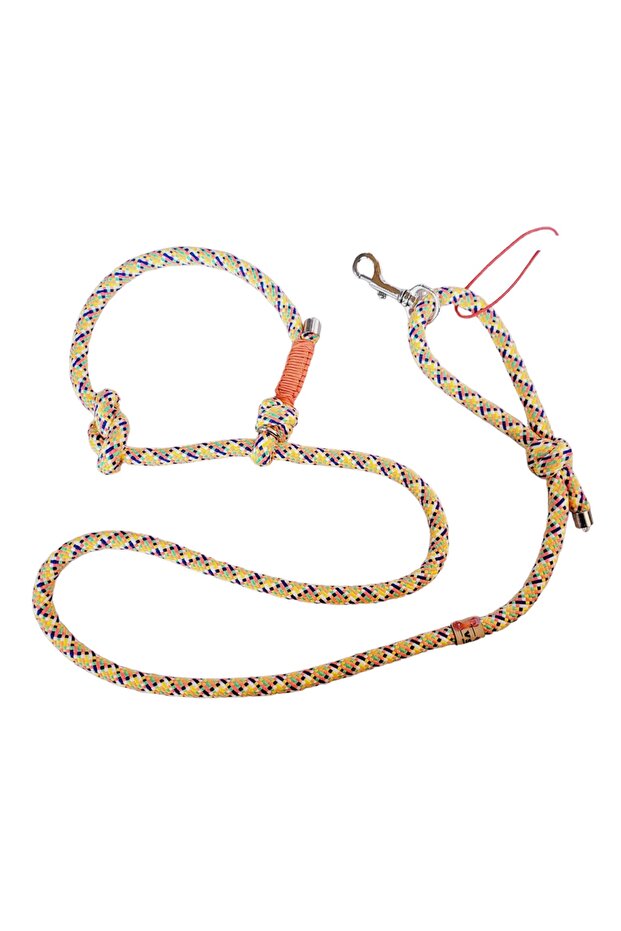 Köpek Gezdirme Kayışı Ve Tasma Birarada.boğma Kayış Ve Tasma.dog Slip Leash. - 4
