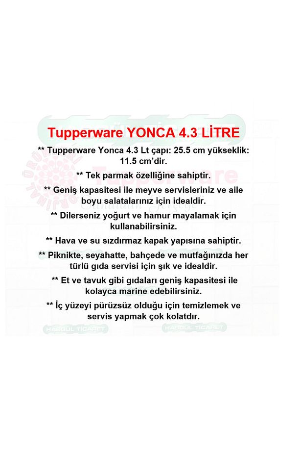 Yonca 4.3 Lt Tek Parmak Saklama Kabı Hsgl Pembe - 3