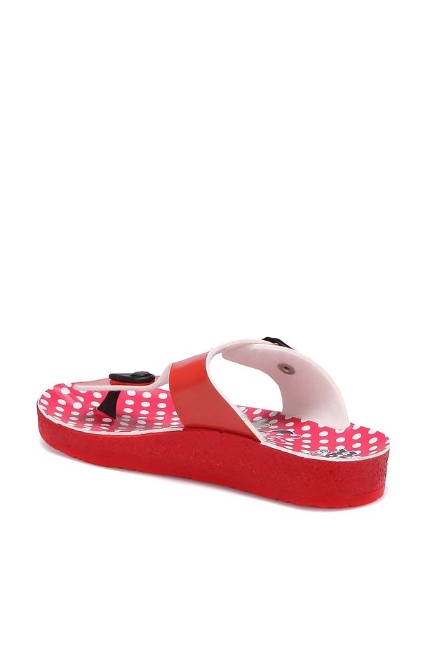 Mickey Mouse 73107T Pembe Kız Çocuk 376 100289781 - 3