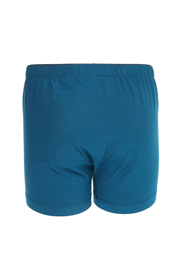 The Don Petrol Erkek Boxer Tdnpny032 - 2