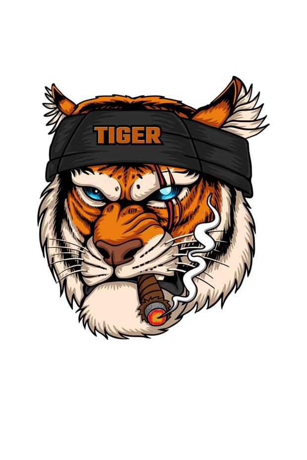 Tiger Smoking Cigar Car, Motorcycle, Helmet, Laptop, Glass Sticker 13x11 Cm