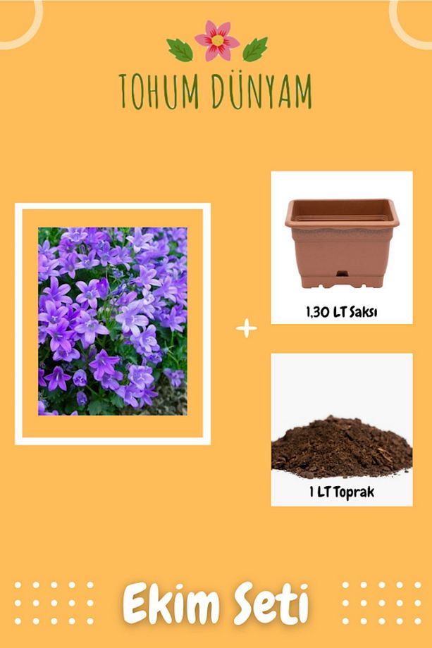Kadeh Çan Çiçeği Tohumu Ekim Seti - 1