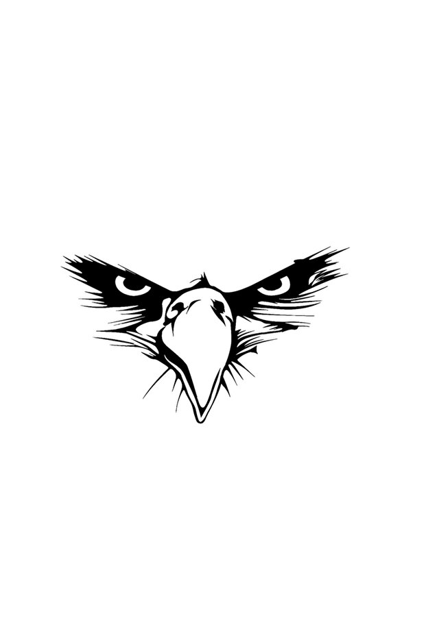 Eagle Eye Sticker Car, Motorcycle, Helmet, Laptop, Glass Sticker 14x9 Cm