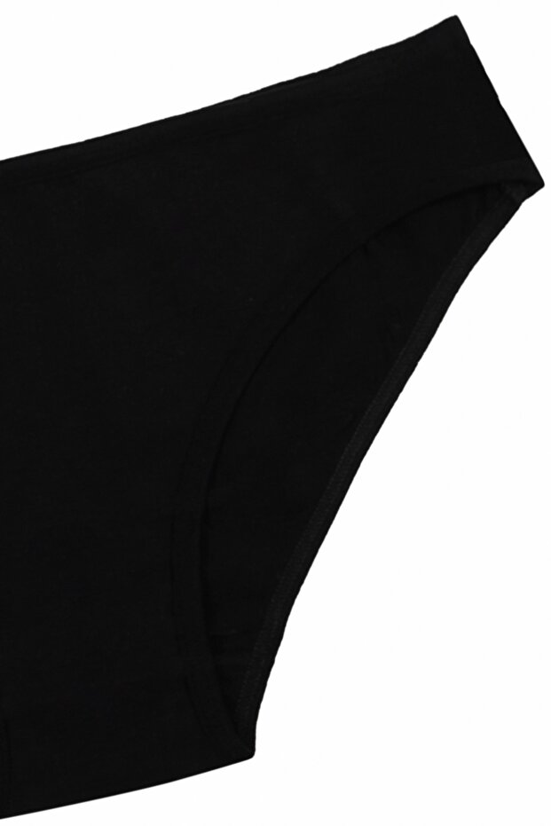 Women's Panties Slip Briefs Underwear