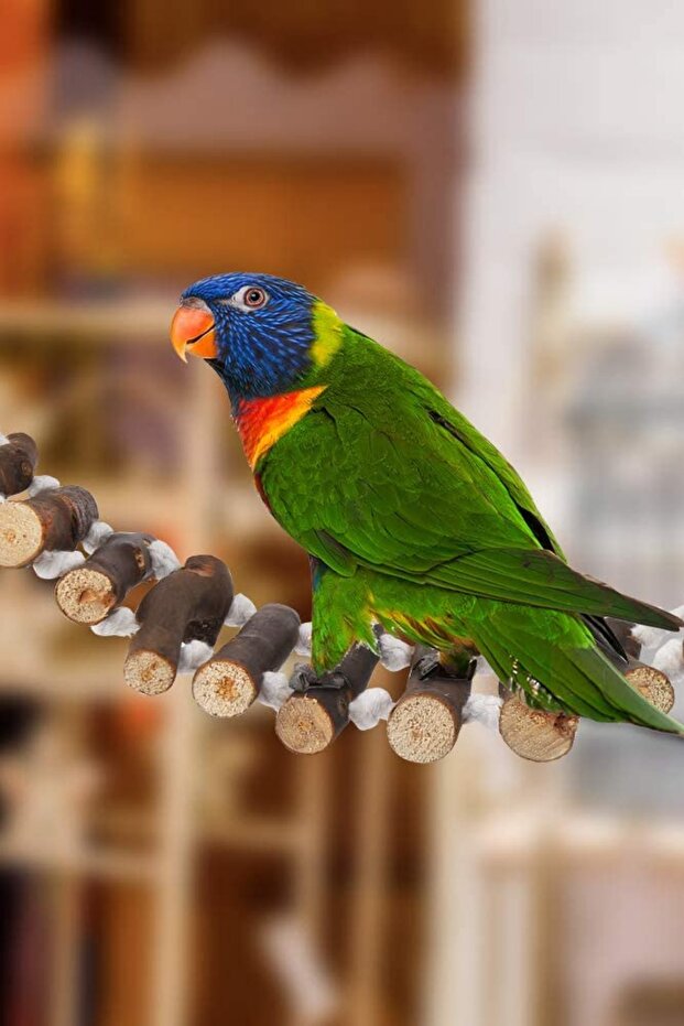 Ahşap Halatlı Kuş Köprüsü - 4