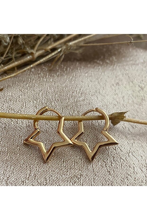 أقراط نمط النجمة الذهبية - 1