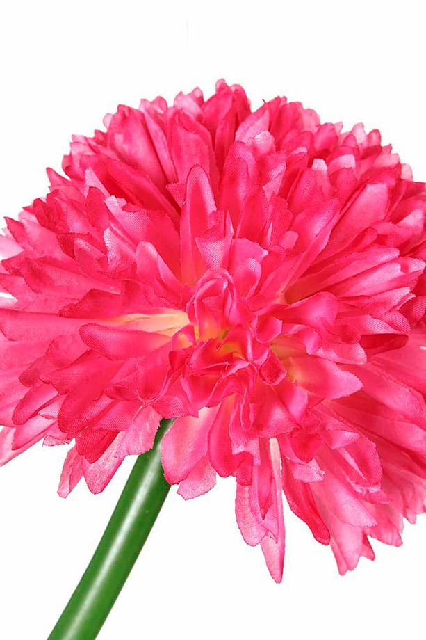 Koyu Pembe Uzun Saplı Kadife Çiçeği AK.BG0120-KP - 4