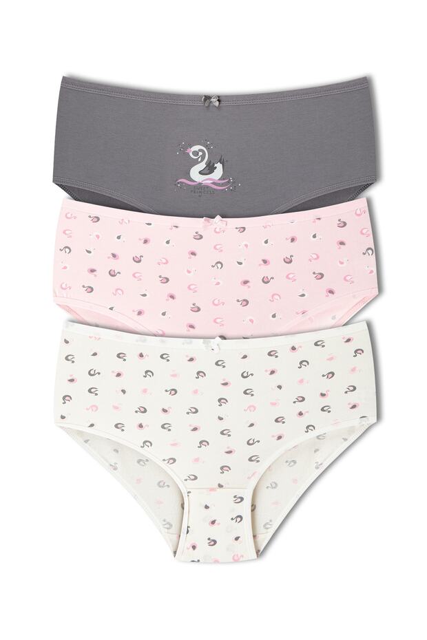 3-Piece Cotton Patterned High Waist Plus Size Panties