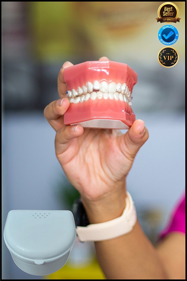 Diş Protez Kutusu Protez Diş Kutusu Tooth Prosthesis Box - 4