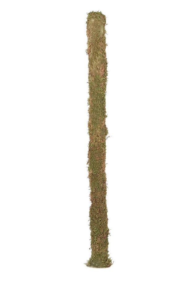 Bitki Destek Çubuğu 3'lü Set 60cm-100cm-140cm (YOSUN SOPASI) Yeşil - 3