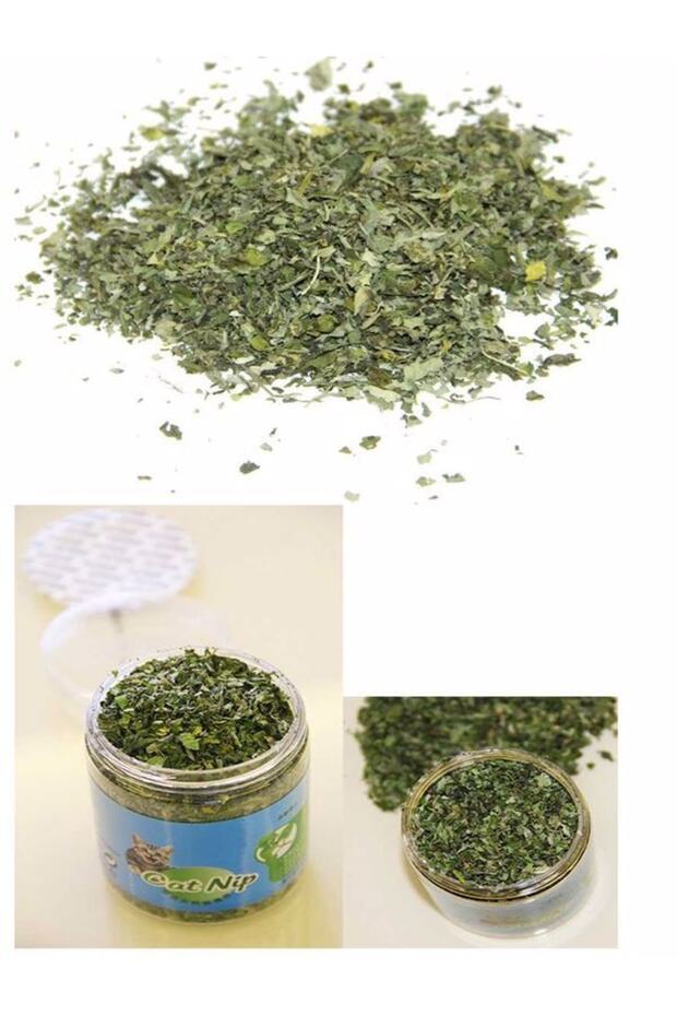 عشب النعناع للقطط 82 جرام - 2