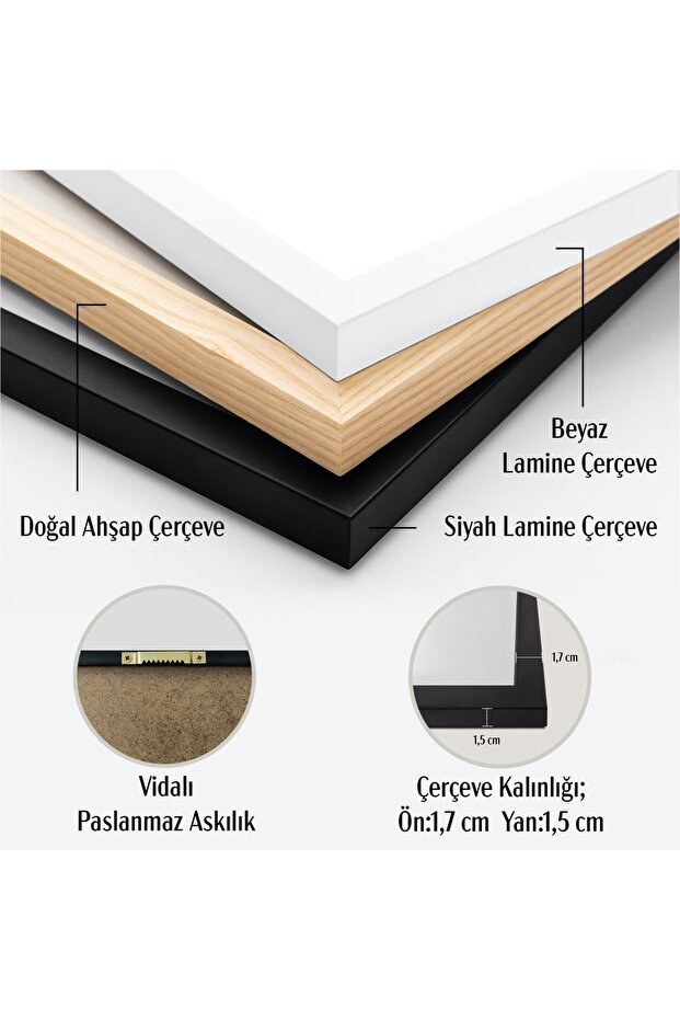 Çerçeveli Picasso Modern Gallery Soyut Artwork Collection Tablo - 2