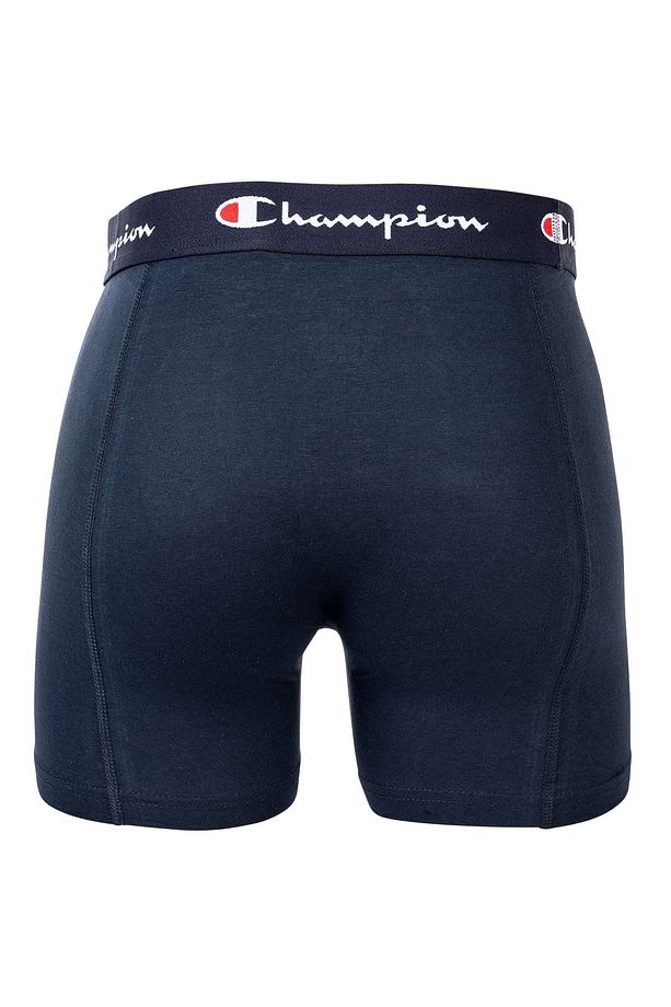 Basics 2 pk Boxer Mavi Erkek Boxer-U20001-BS036 - 5
