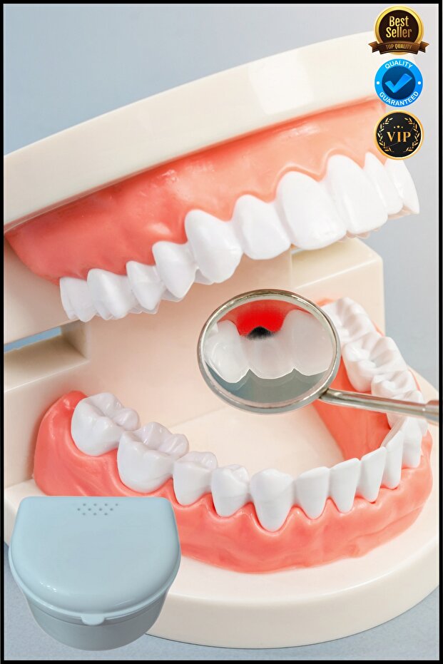 Diş Protez Kutusu Protez Diş Kutusu Tooth Prosthesis Box - 5