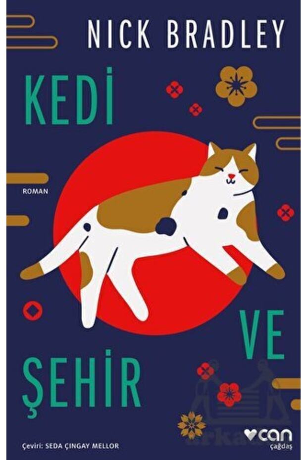 Kedi Ve Şehir
