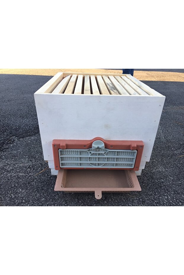 10 Çıtalı Tek Katlı Kovan - 4