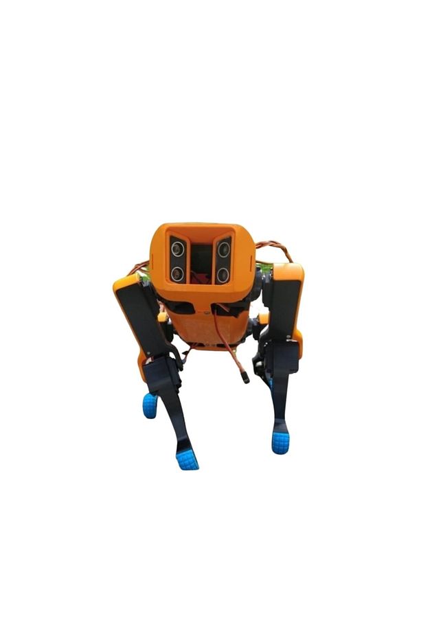 Emes Robotik Robot Köpek 3d Baskı - 4